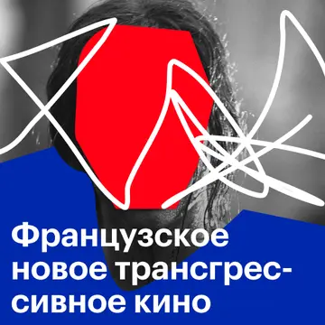 Французское новое трансгрессивное кино