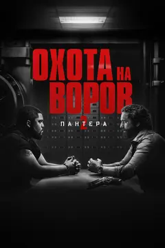 Постер Охота на воров 2: Пантера