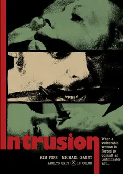 Постер The Intrusion