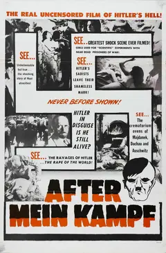 Постер After Mein Kampf?