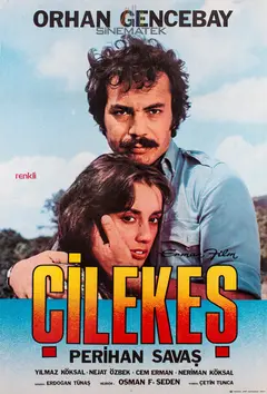 Постер Çilekeş