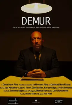 Постер Demur