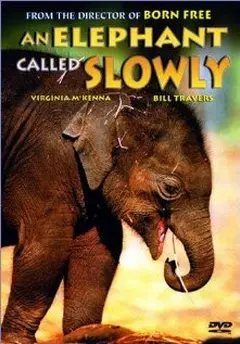 Постер An Elephant Called Slowly