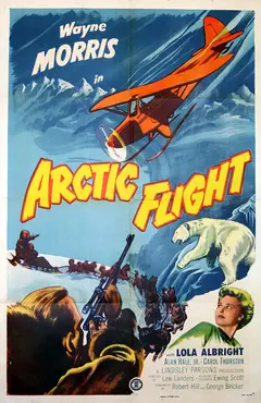 Постер Arctic Flight