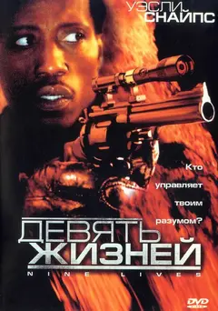 Постер Девять жизней