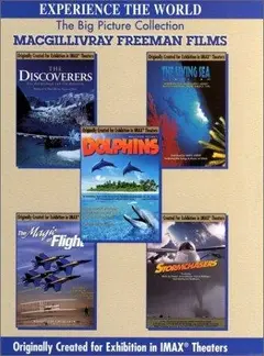 Постер Dolphins: The Ride
