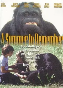 Постер A Summer to Remember