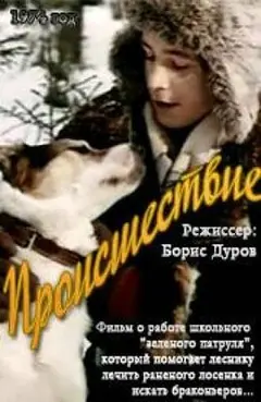 Постер Происшествие
