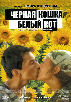 Постер Черная кошка, белый кот