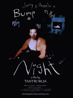 Постер Bump in the Night