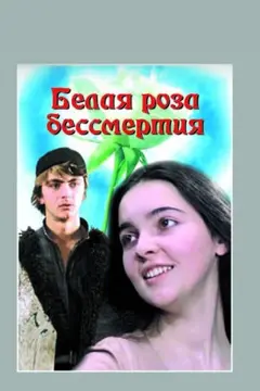 Постер Белая роза бессмертия