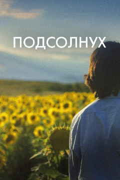 Постер Подсолнух