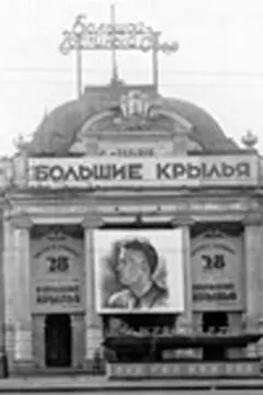 Постер Большие крылья