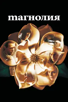 Постер Магнолия