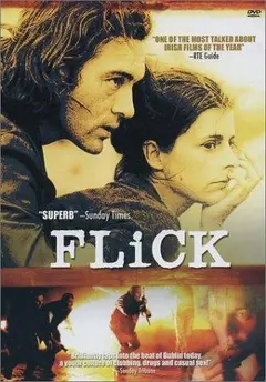 Постер Flick