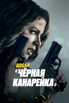 Постер Досье «Чёрная канарейка»