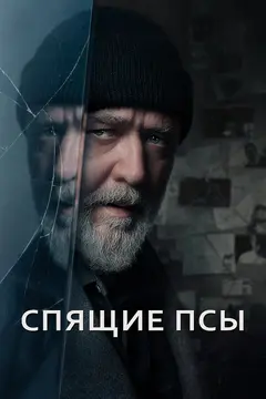Постер Спящие псы