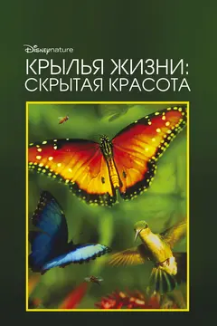 Постер Крылья жизни: Скрытая красота