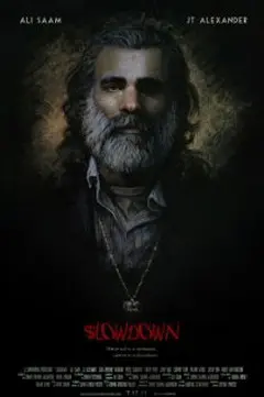 Постер $lowdown