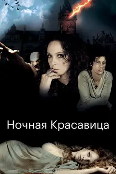 Постер Ночная красавица