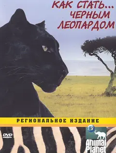 Постер Animal Planet: Как стать...