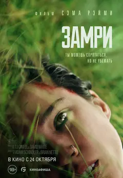 Постер Замри