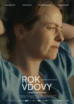 Постер Year of the Widow