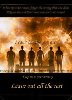 Постер Linkin Park: Leave Out All the Rest