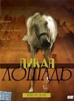 Постер Дикая лошадь