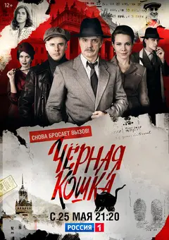 Постер Черная кошка