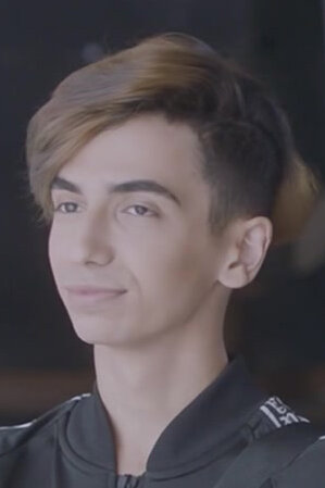 фото Дайлер