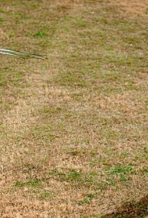 фото Тацуо Ичикава