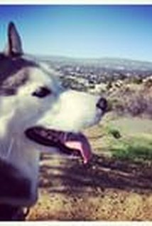 фото Хайди Ван Лир