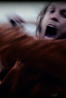 фото Дастин Лейтон