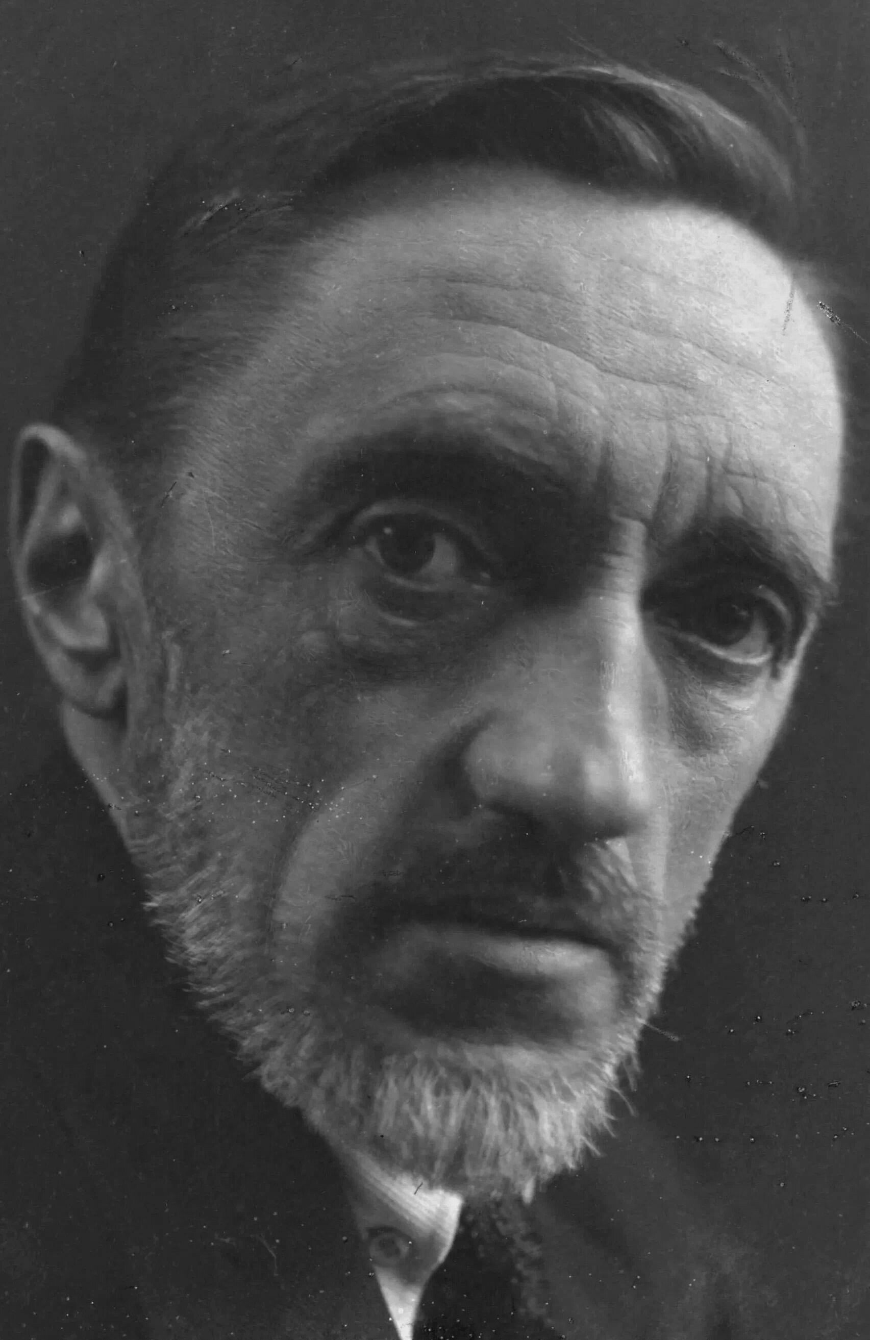 фото Иван Шмелёв