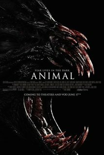 фото Томми Войцеховский