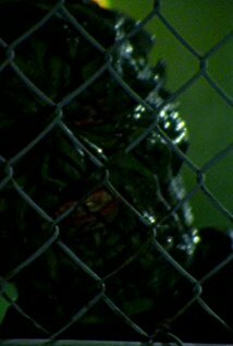 фото Джейсон Хопли