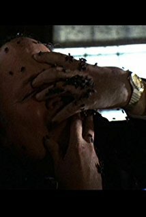 фото Джон Харкинс