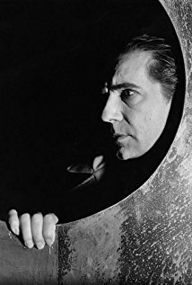 фото Блэк Кэт