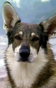 фото Лондон