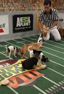 фото Дэн Шахнер