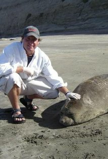 фото Арло Хэмпхилл