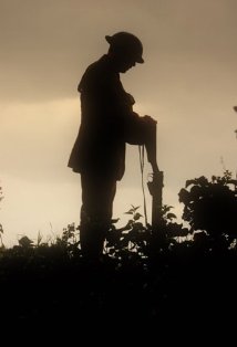 фото Александр Ричардсон