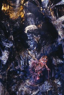 фото Барбара Коулз