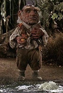 фото Шари Уайзер