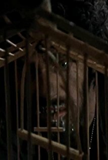 фото Лэнс Гордон