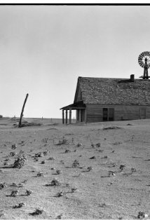 фото Дороти Ланж