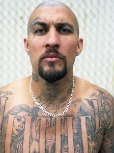 фото Крис Дэлфоз