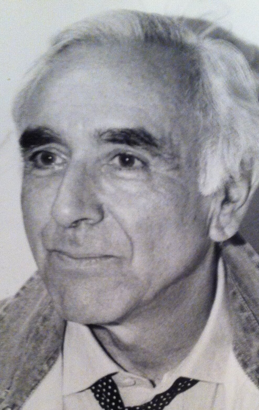 фото Бернардино Дзаппони