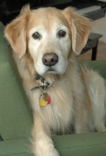 фото Лэйси Робертсон